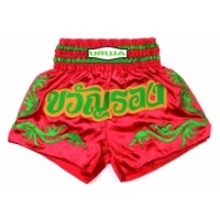 Kick Boxing Shorts