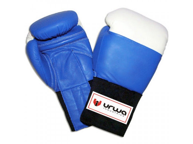 Ringside Style Boxing Gloves