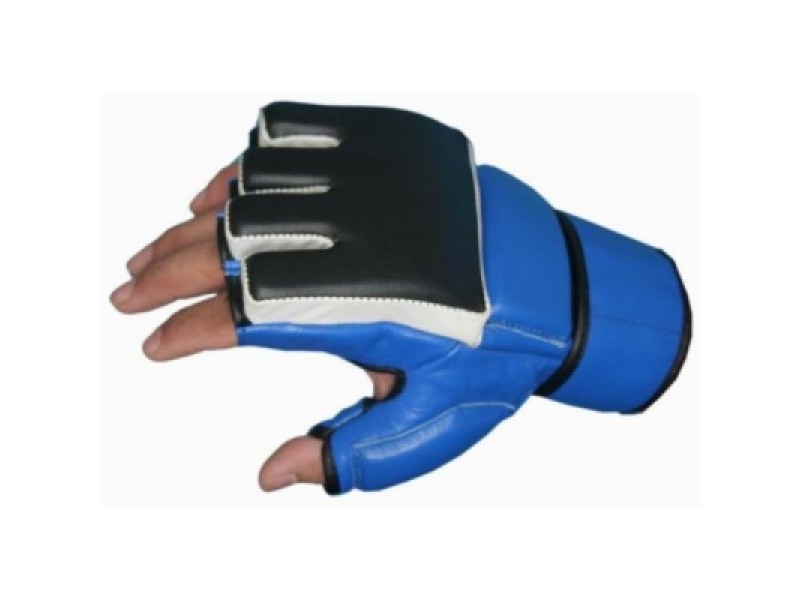 MMA Training Gloves