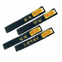 Martial Arts Belt