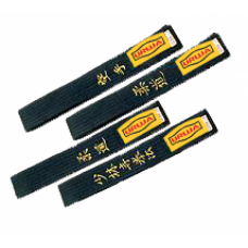 Martial Arts Belt