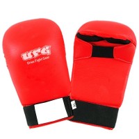 Karate Gloves