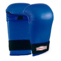 Martial Arts Gloves