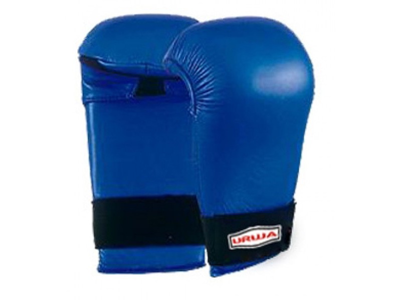 Martial Arts Gloves